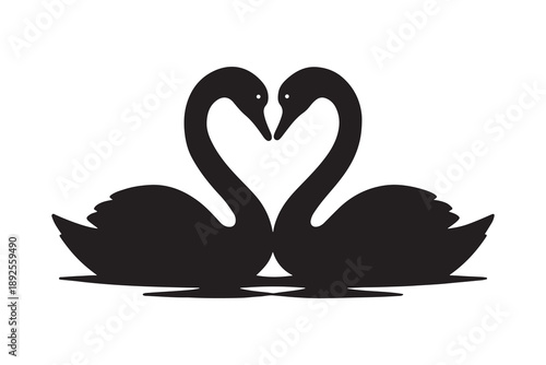 Romantic pair of swans forming heart silhouette vector on white background