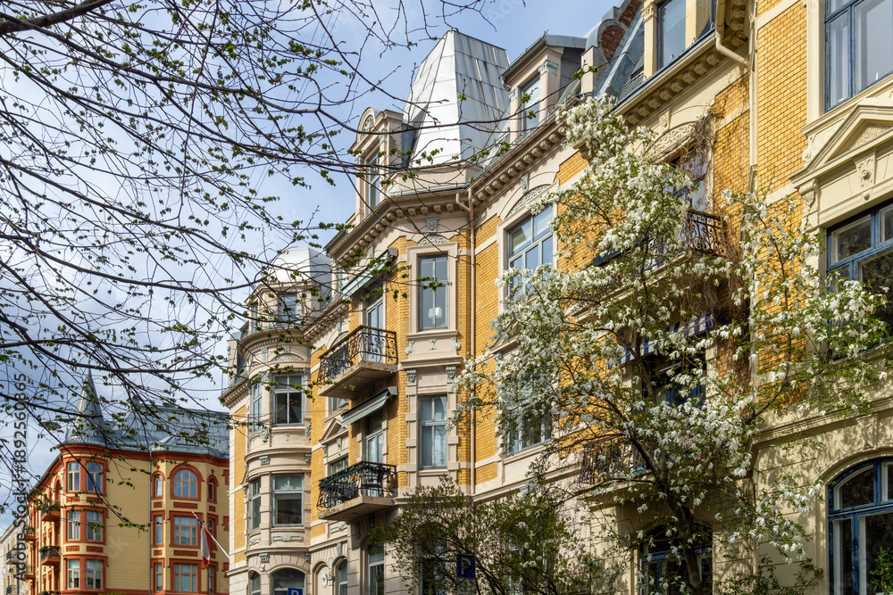 Fototapeta premium Springtime Bloom in Frogner Oslo Norway with Historic Yellow Victorian Architecture and Blooming White Trees in Skovveien District