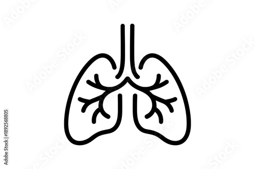 A minimalist vector illustration of human lungs with trachea and bronchi