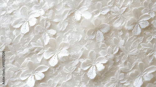 Elegant lace background with white flowers