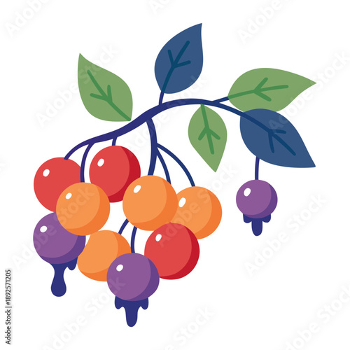 vector illustration of ripe cherry