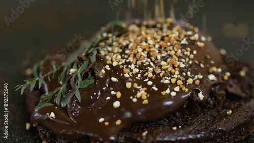 Delicious chocolate cake with dripping ganache and sprinkled nuts is beautifully presented for dessert.
