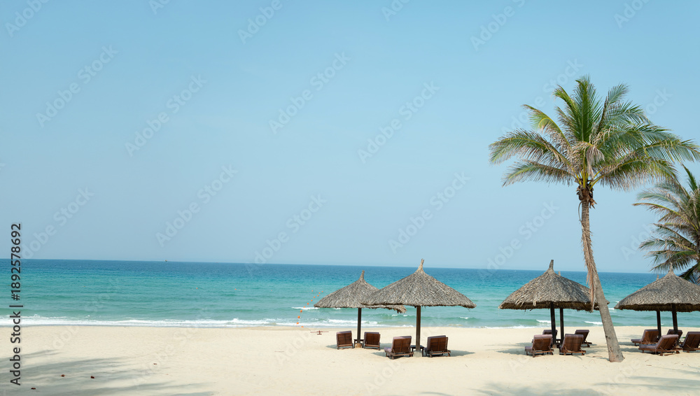 Fototapeta premium tropical beach with coconut palm trees