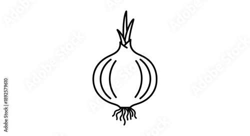 Simple line drawing of an onion with green sprouts