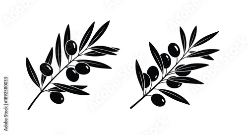 Two olive branches with dark olives a black and white illustration