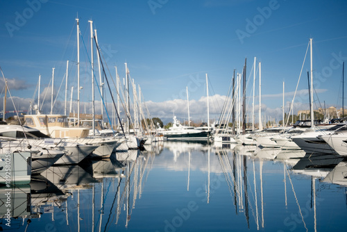 Canvas Print Sailing Yachts Docked in a Marina on a Sunny Day with Reflections in the Water