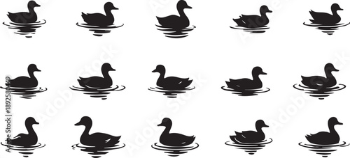 Duck Silhouettes on Water: Silhouetted ducks glide gracefully across the calm water, creating an artistic display of natural serenity. A symbol of tranquility and simple beauty.