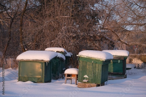 Wallpaper Mural Green wooden beehives covered with snow on a winter day in countryside. Buildings amnog trees in village in background. Torontodigital.ca