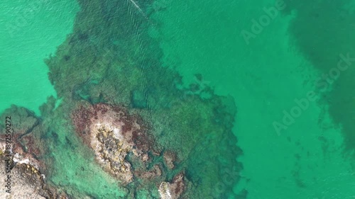 Wallpaper Mural Aerial Drone View of Calette di Torre Cintola on the Adriatic Coast near Monopoli, Bari, Puglia, Southern Italy – Scenic Cliffs, Coves and Mediterranean Torontodigital.ca