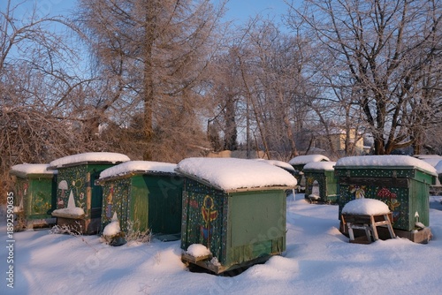 Wallpaper Mural Green wooden beehives covered with snow on a winter day in countryside. Buildings amnog trees in village in background. Torontodigital.ca