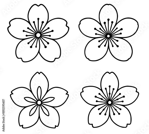 4 cherry blossom outline icons, for coloring