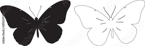 Black and white butterfly silhouettes side by side insects