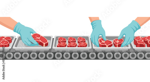 Conveyor Belt Meat Processing Line with Workers in Blue Gloves Placing Raw Steaks