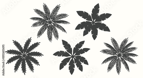 Palm tree top view icons in a vintage hand drawn engraving and sketch style. A vector collection of tropical plant silhouettes for landscape design, summer travel maps, and beach branding.