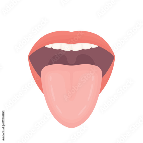 Vector illustration of a human tongue isolated on white background. Symbol of taste, oral health, speech and medical examination. Suitable for healthcare design, education, dentistry, anatomy concepts