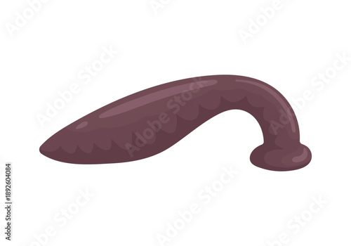 Vector illustration of a leech isolated on white background. Symbol of hirudotherapy, alternative and traditional medicine, natural healing and medical treatment. Ideal for healthcare, education