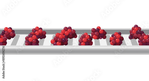 Conveyor Belt Carrying Clusters of Red and Purple Grapes for Wine Production