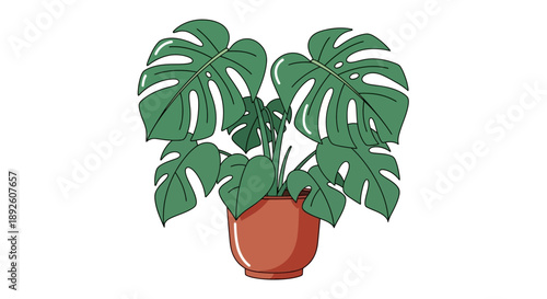 Monstera Deliciosa Potted Plant Illustration on White Background