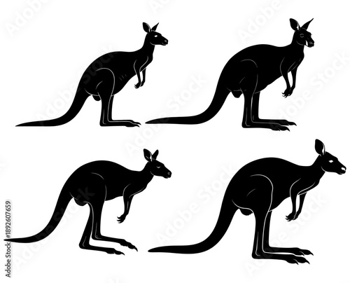 Four kangaroos in different poses depicted in black silhouettes against a white background