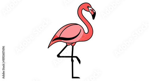 Pink flamingo illustration standing on one leg on a white background.