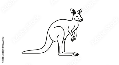 A kangaroo standing alone in a minimalist illustration style with high contrast and clean lines on a white background