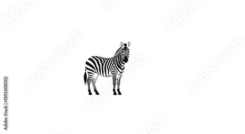 Minimalist icon of a zebra standing alone on a white background