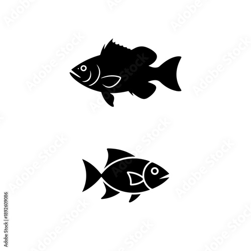  A stylish fish vector illustration featuring smooth curves and vibrant form, designed to work perfectly across branding, artwork, and commercial projects.