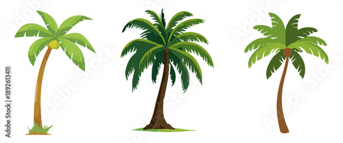Set of various tropical palm trees with lush green leaves isolated on a clean white background.
