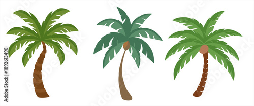 Set of organic tropical palm trees with detailed green leaves isolated on a plain white background