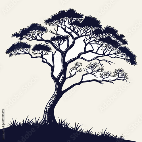 Silhouette of a majestic tree