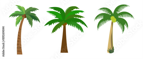 Isolated flat vector set of tropical palm trees with green leaves on white background for summer design
