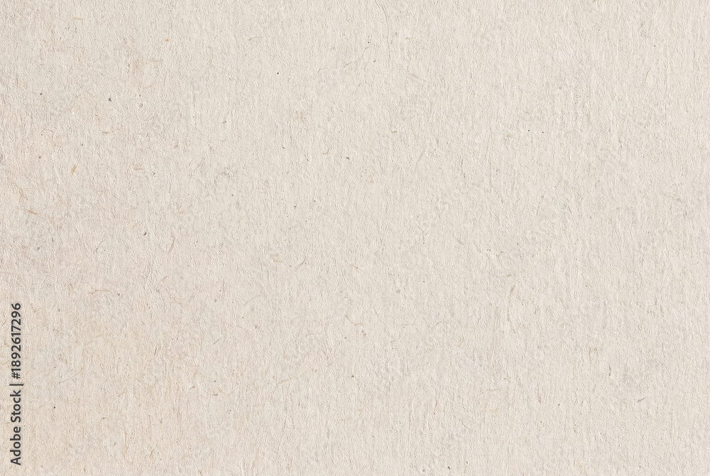 Fototapeta premium Light Beige Recycled Craft Paper Texture Background