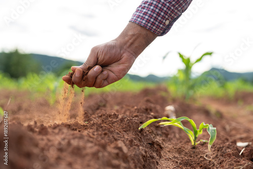 Photos Farmer holding soil in hands, checking soil health and fertility before planting on organic farm