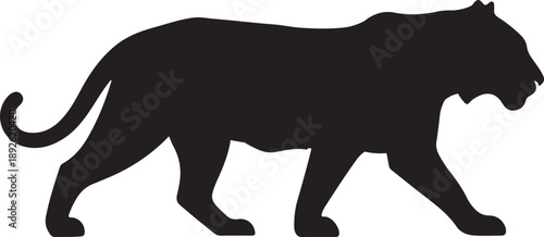 Majestic black silhouette of a tiger gracefully walking with a curved tail on a pristine white background