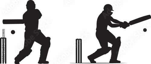 Cricket players in action