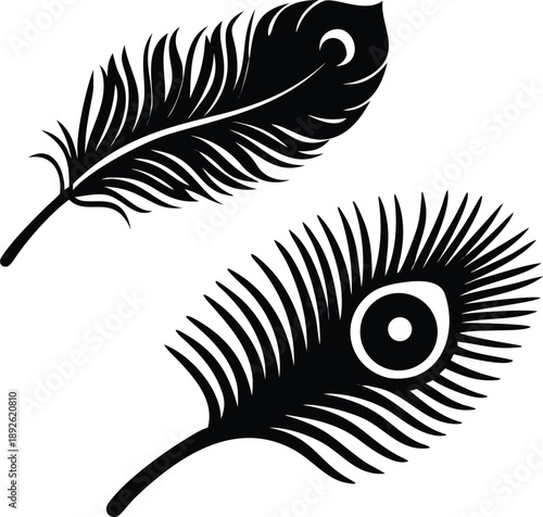 Peacock feather silhouettes set for decorative design patterns and artistic illustrations featuring intricate plume details alone