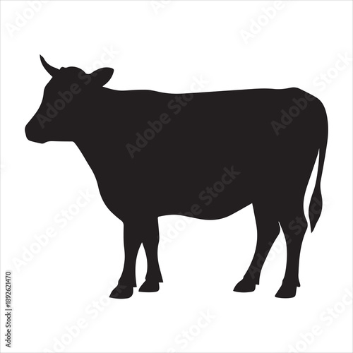 silhouette of a cow