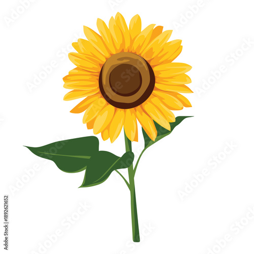 Illustration of a vibrant yellow sunflower with green leaves against a clean white background.