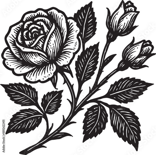 Wallpaper Mural Black and white rose flower and buds botanical print Torontodigital.ca