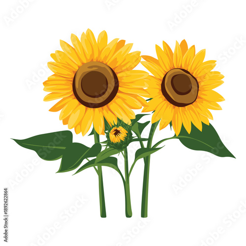 Illustration of three sunflowers with green leaves on white background, featuring large yellow petals and brown centers.