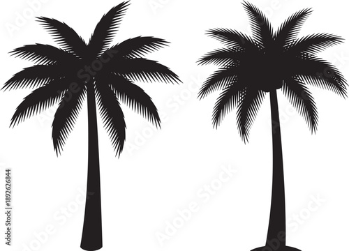 Silhouettes of two tropical palm trees with lush fronds, evoking vacation, summer, and exotic destinations.