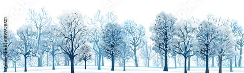 Frost-Covered Trees Under a Clear Winter Sky isolated