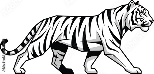Black and white tiger vector illustration featuring a powerful Bengal tiger walking in profile with detailed striped fur pattern for wildlife and nature designs.