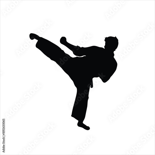 Martial arts athlete performing kick.