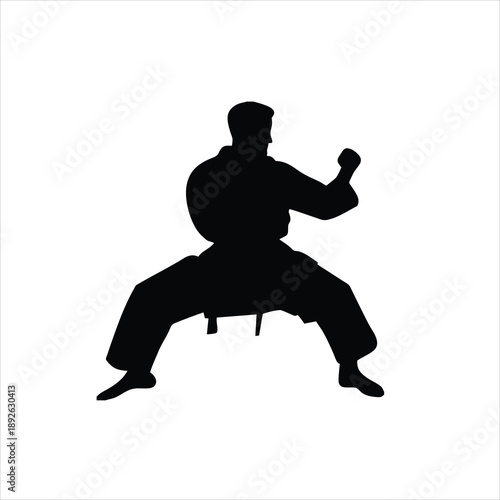 Martial artist silhouette fighting stance