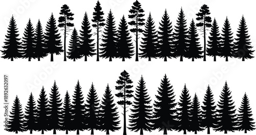 Detailed collection of coniferous evergreen forest silhouettes and panoramic pine tree borders isolated on white background for nature landscape and woodland vector graphic designs