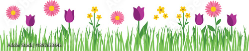 Flat vector illustration of a spring garden border with pink daisies purple tulips and yellow wildflowers in green grass isolated on white background