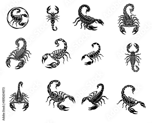 Collection of scorpion illustrations in various styles and poses