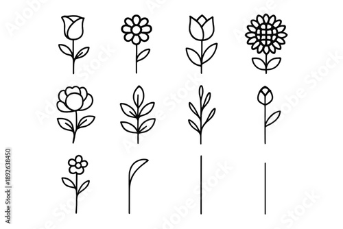 Flower Stem Icons. Flower stems set. Line outline icon set of Flower stems set: rose stem, daisy stem, tulip