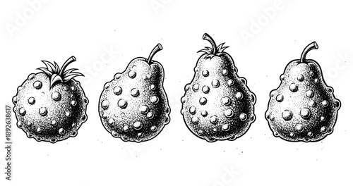 Hand-drawn black and white series of unique pears with textured details